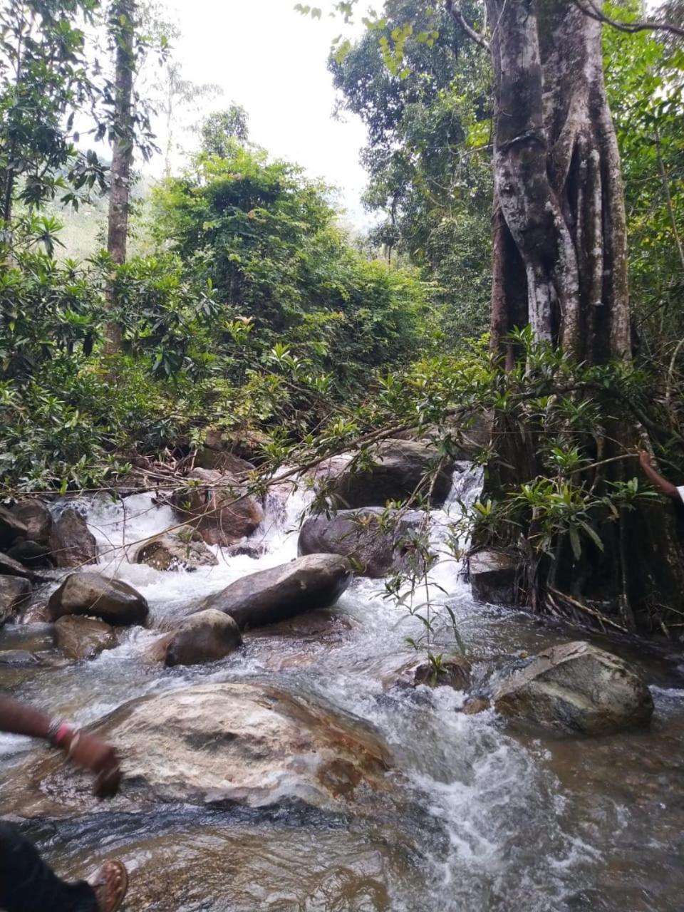 Mistywindvalley Kudayattur Exteriér fotografie
